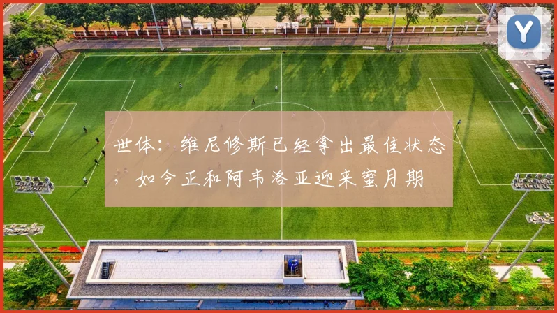 世体：维尼修斯已经拿出最佳状态，如今正和阿韦洛亚迎来蜜月期