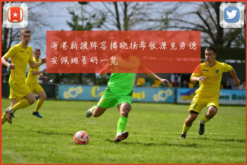 海港新援阵容揭晓杨希张源克劳德安佩姆号码一览